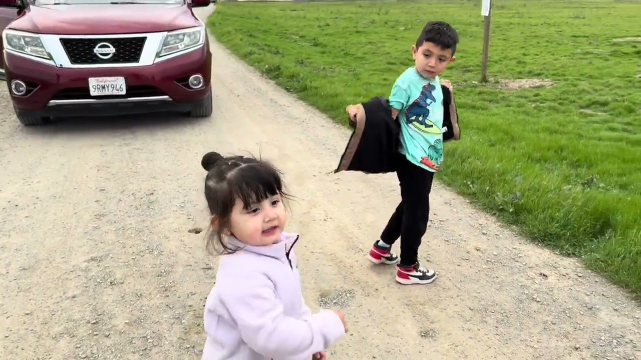 Así la pasamos esta tarde, mirando los gansos y patos que inmigran de Canadá ￼￼