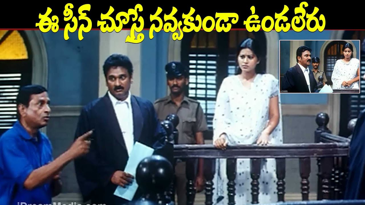 ఈ సీన్ చూస్తే నవ్వకుండా ఉండలేరు | Pandu Movie Krishna Bhagavan Best Ultimate Court Comedy Scene