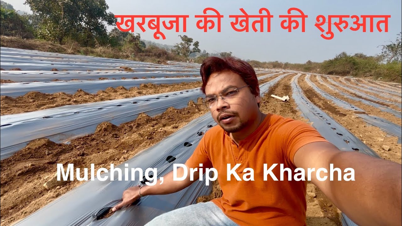 खरबूजा की खेती की शुरुआत || Muskmelon Farming #chhindwara #farming #farmlife #agriculture #vlog 