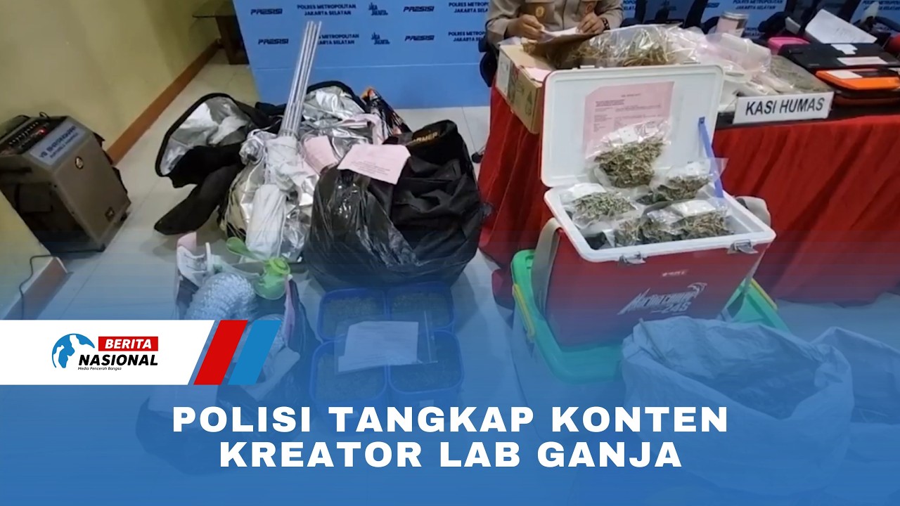 Polisi Tangkap Konten Kreator Lab Ganja