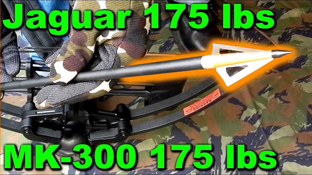 🎯 MAN KUNG MK-300 vs JAGUAR 175 lbs - Capacete - Broadhead