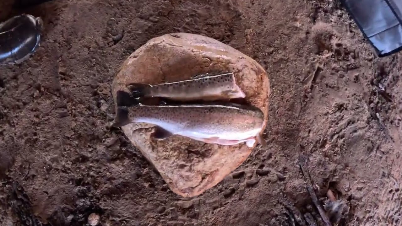 (Trout) catch and cook by river in Virginia