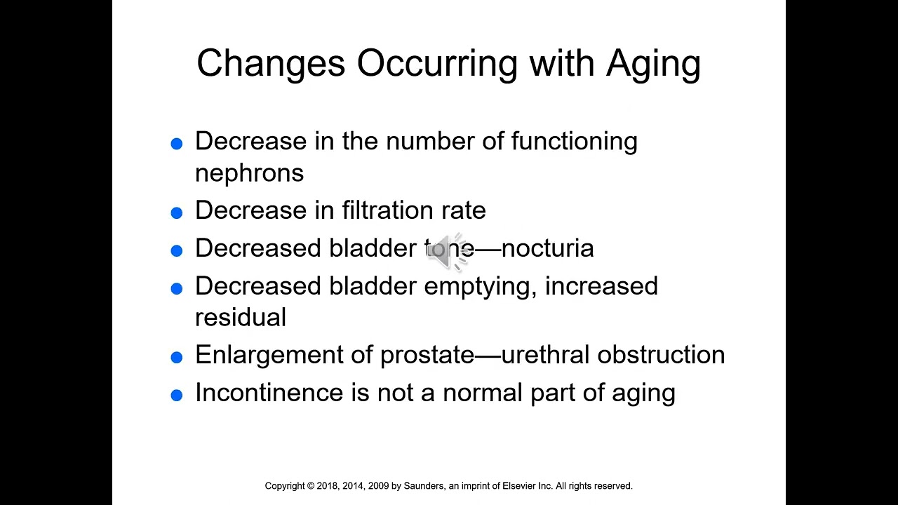 Chapter 29  Promoting Urinary Elimination with audio