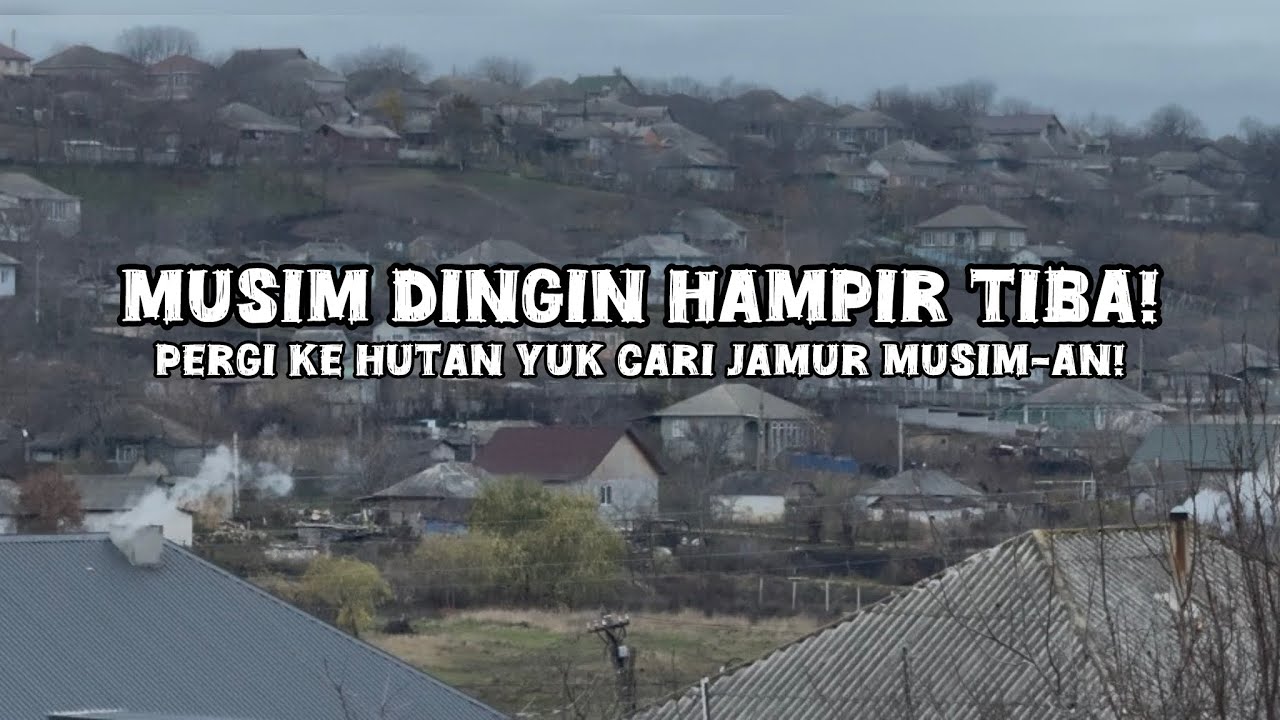 Kehidupan di Desa Eropa Timur | Mencari Jamur di Hutan Moldova! 🍄 Musim Dingin Segera Tiba 🥶❄️