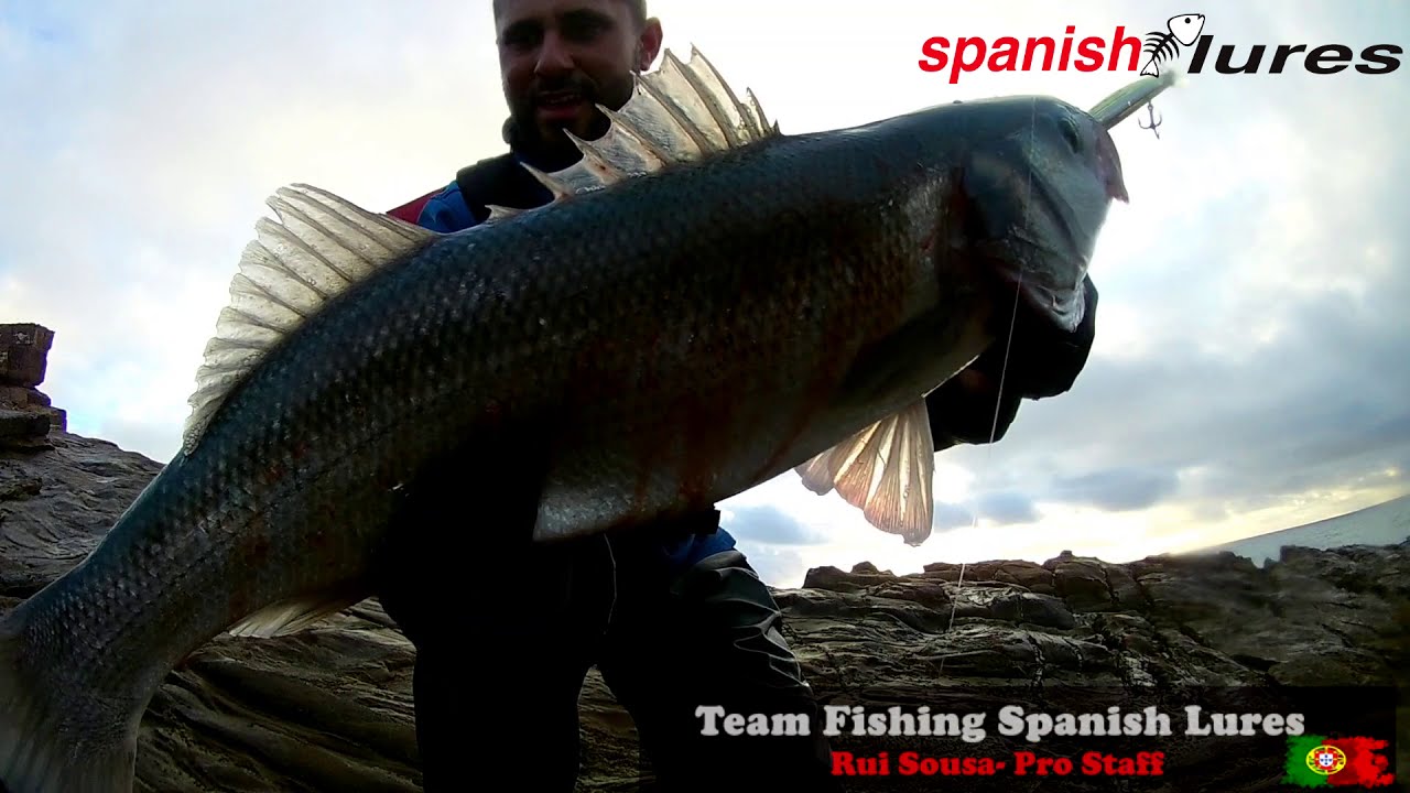 Robalo Labrax Lubina XL  GUDARI 170S HOLOGRAPHIC NEEDLEFISH SPANISH LURES Costa vicentina Portugal