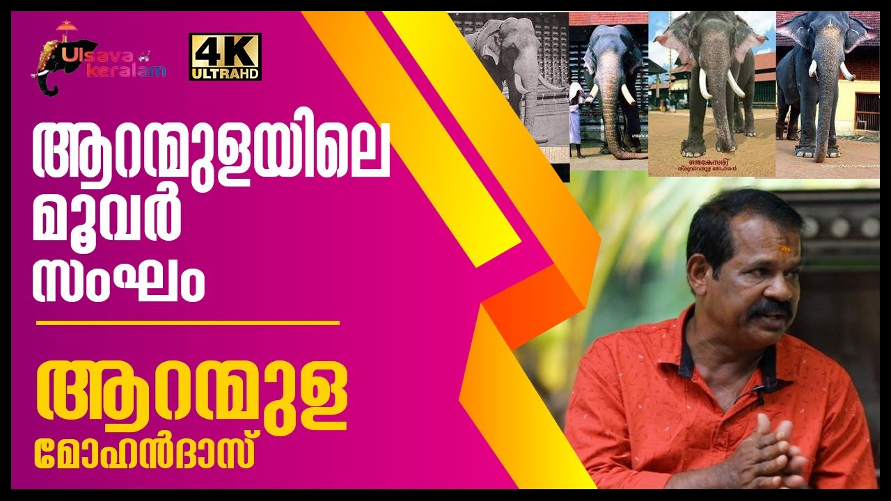 ഇവരാരും ചില്ലറക്കാരല്ല|ആറന്മുളയിലെ മൂവർ സംഘം|Kerala Elephant Aranmula Reghu|Mohanan| Parthan|EPI 111
