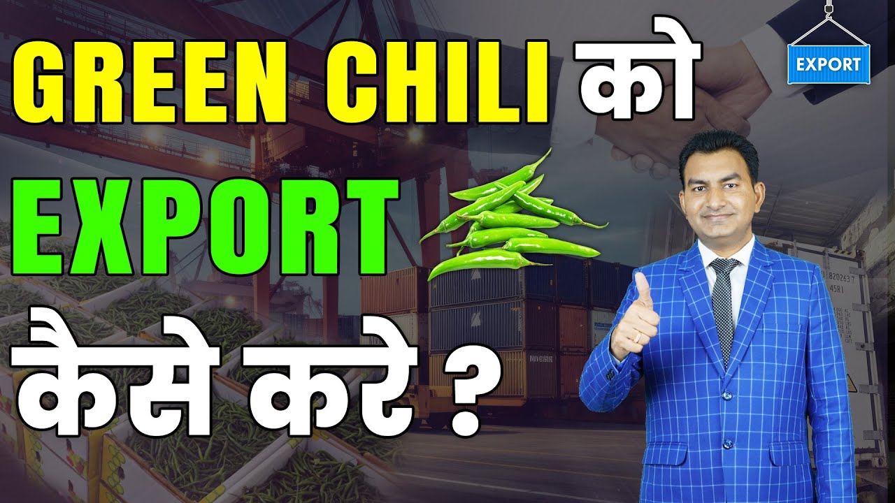 How to Export Green Chili step by step Process Explain by Paresh Solanki, Import Export Business.