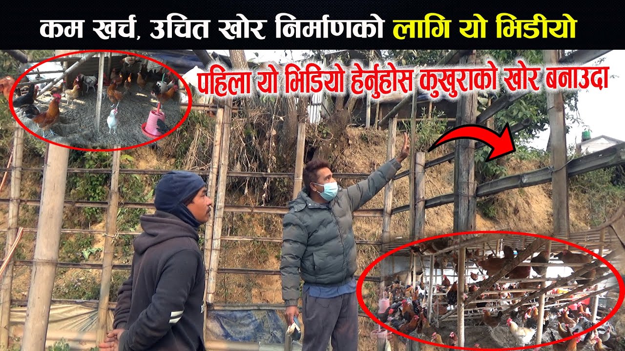 कम खर्च, उचित खोरकोलागि यो भिडियो | Chicken farming in Nepal | Shed For Chicken | Kukhurako khor