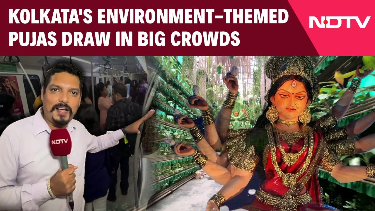 Kolkata Durga Puja | Kolkata's Environment Themed Pujas Draw In Big Crowds