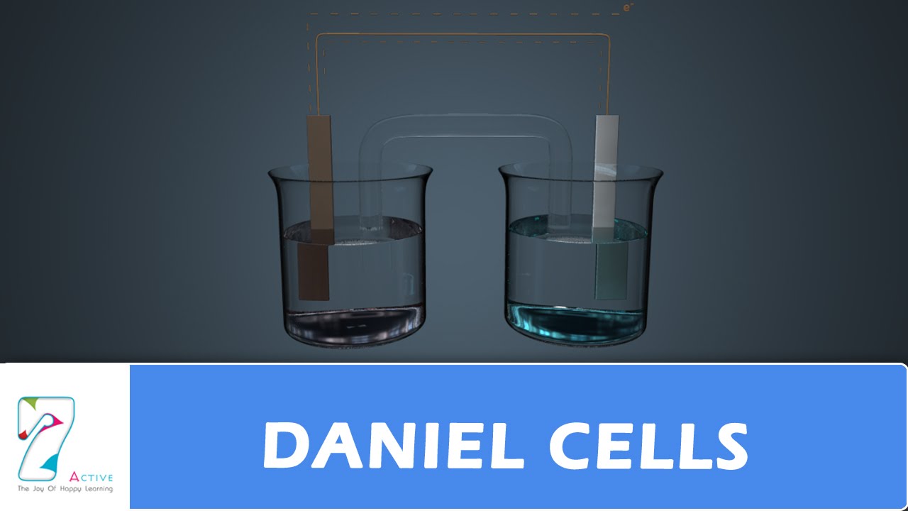DANIEL CELLS