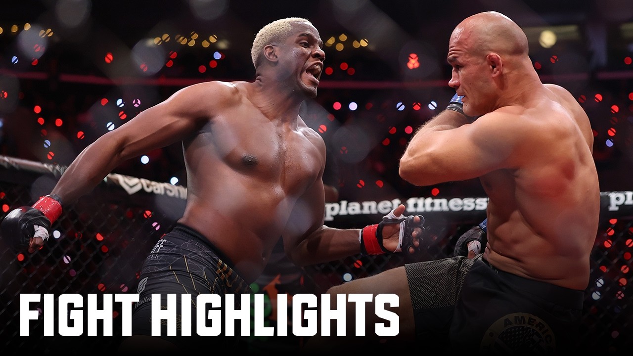Junior dos Santos vs Robelis Despaigne | Fight Highlights
