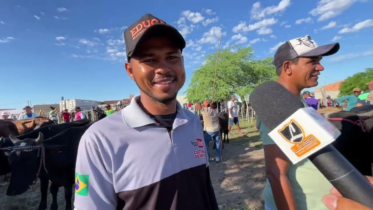 Feira do Gado em São José da Tapera - AL 14 - 03 - 2026 #nordeste 
