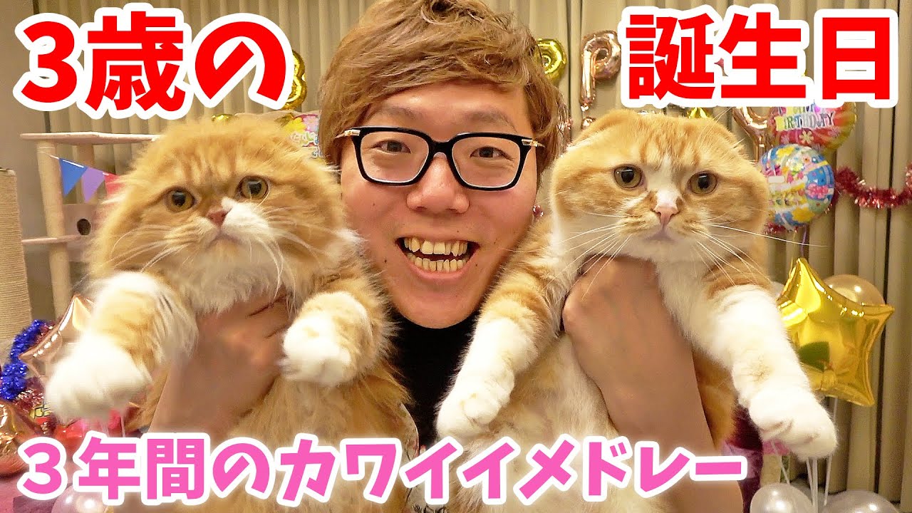 まるお&もふこ３歳の誕生日！３年間の全動画のかわいいシーンメドレー！