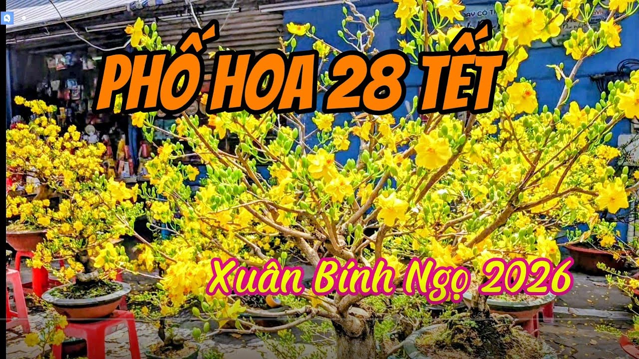 ​Dạo một vòng các nẻo đường hoa Tết: Không khí Xuân ngập tràn phố phường 🎋.