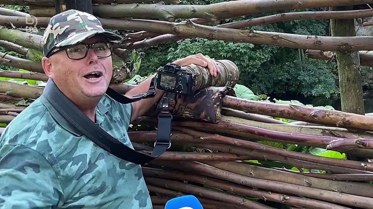 Weerman Ed Aldus verliefd op Schiedamse ijsvogels