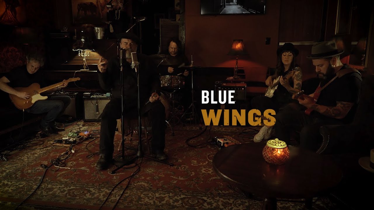 Paul Reddick - Blue Wings (Live at Sauce)