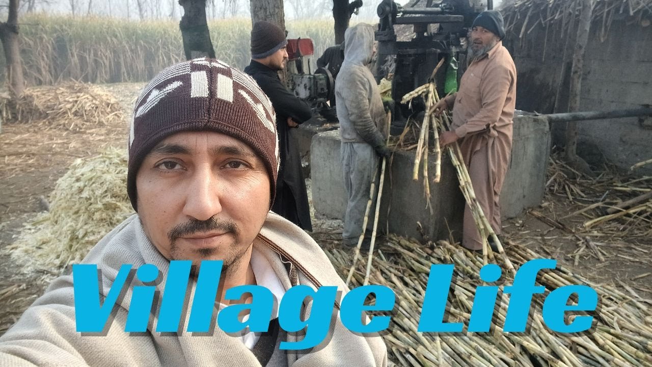 A Day in the Village | Pure Atmosphere & Sweet Jaggery Experience. #villagelife.