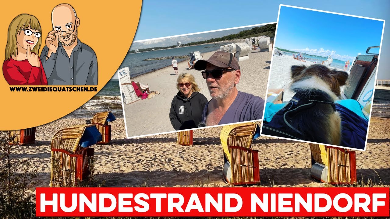 Zwei an der Ostsee: Am Hundestrand in Niendorf