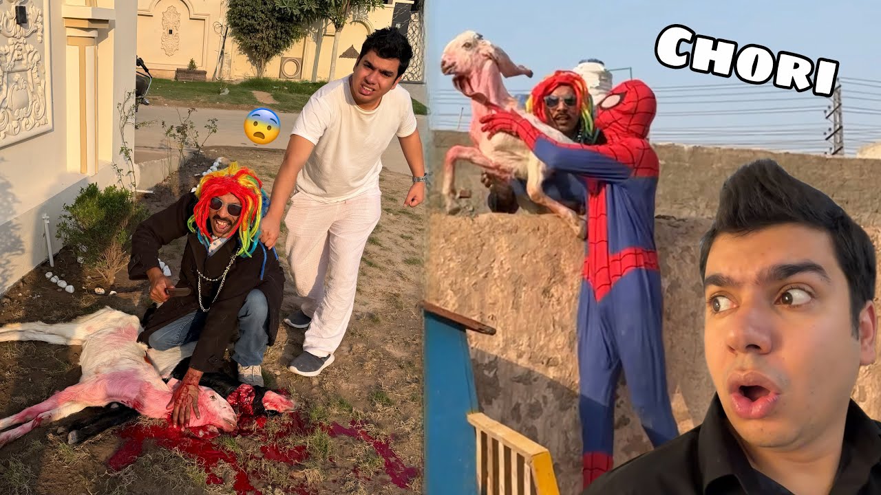 Spider Man Ny Bakri Chori Kr Li 😨 or Zibha Kr Di 😭