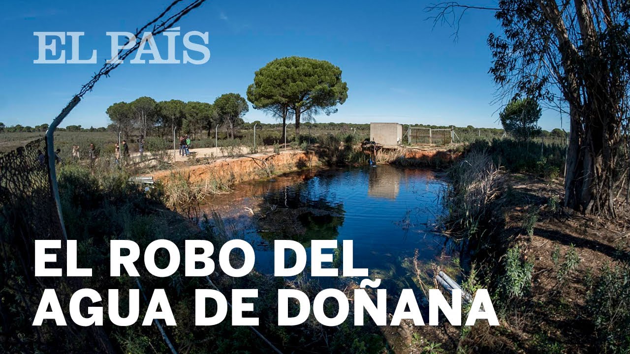 El ROBO del agua en DOÑANA