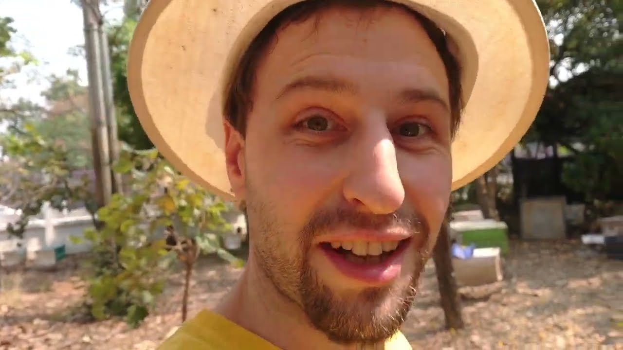 Meliponini - Probennahme / Vermehrung der stachellosen Bienen