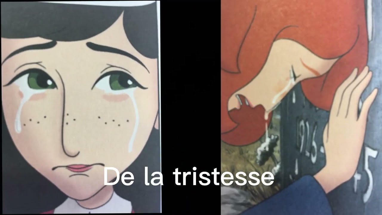 Booktrailer O&ugrave; est Anne Frank - Ari Folman
