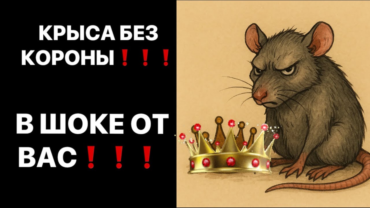 ❗️❗️ КРЫСА БЕЗ КОРОНЫ❗️😱 В ШОКЕ ОТ ВАС❗️❗️😱😱😱 #strunatarot         #таро#враги#tarot