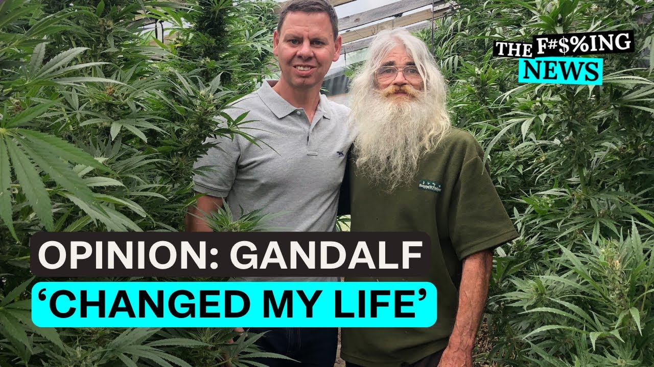 Paddy Gower: How Gandalf and medical weed changed my life | Stuff.co.nz