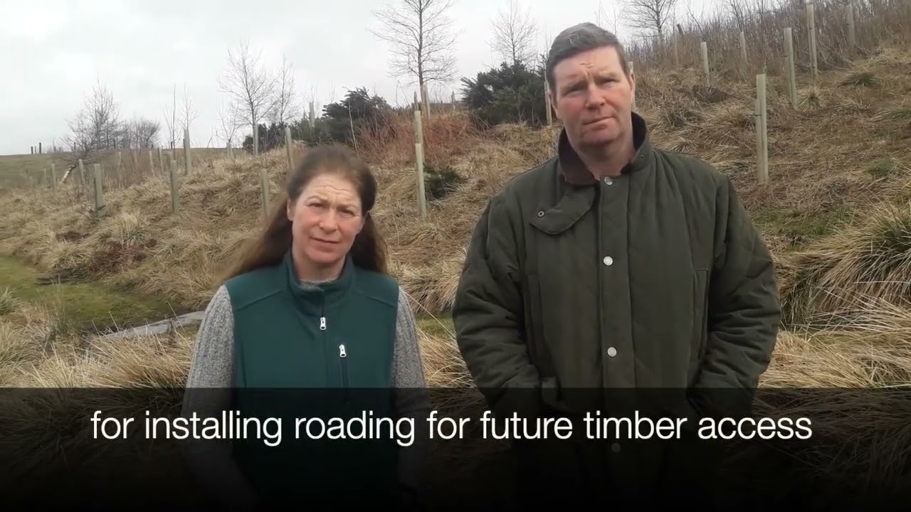 Farming & Forestry: Wester Gatherleys Farm