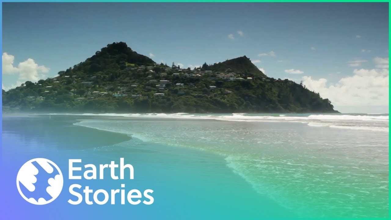 The Incredible Coastlines Of Auckland (Wildlife Documentary)