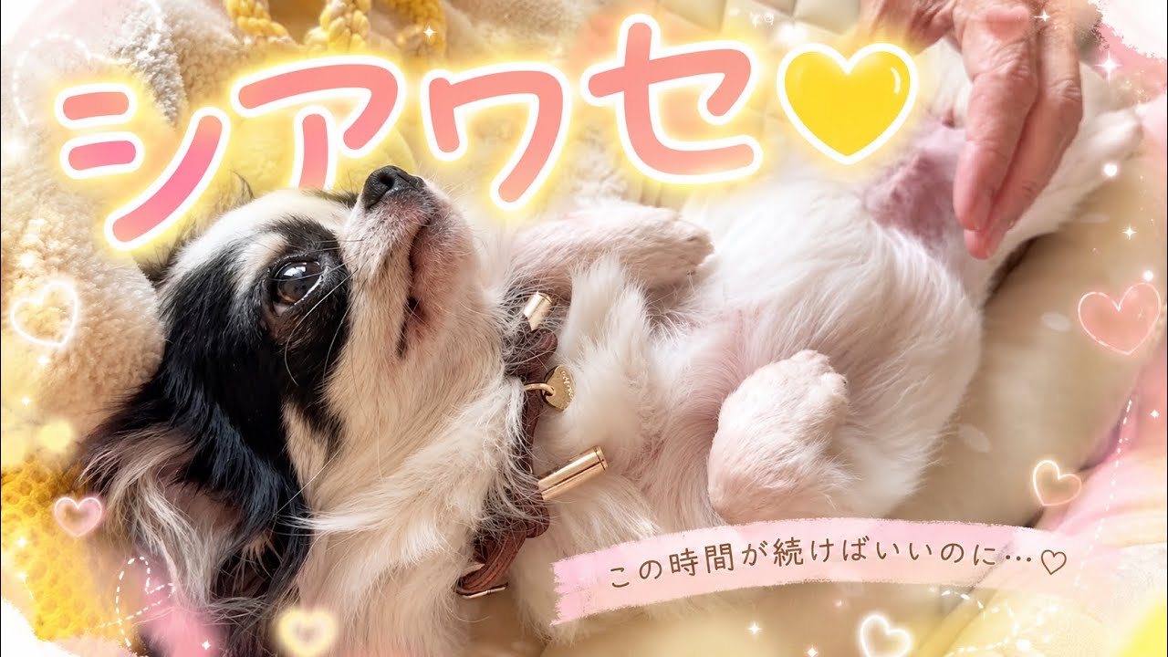 ばあばが来てくれて満たされてる♩