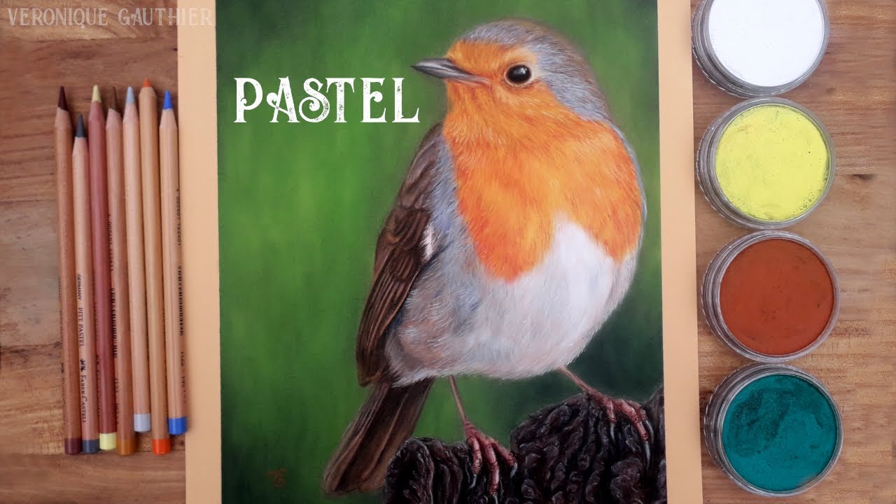 Drawing a robin with panpastel and pastel pencils /// realistic drawing timelapse