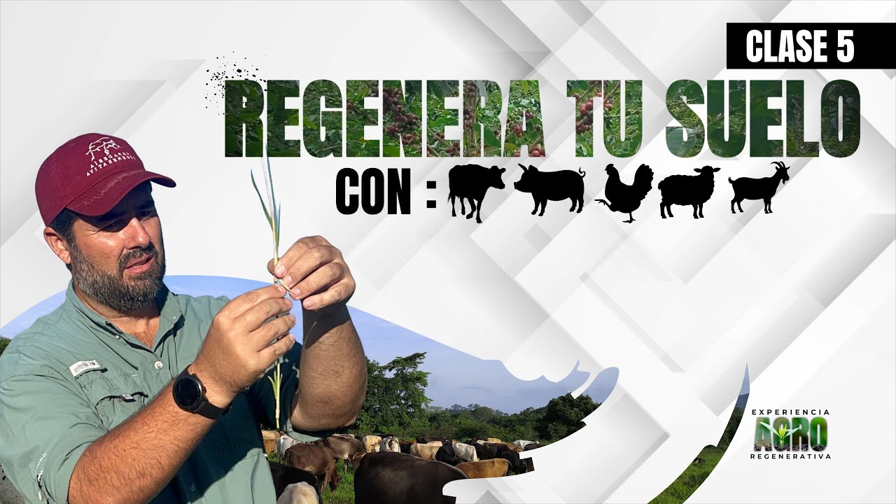 Como regenerar el suelo con ganado