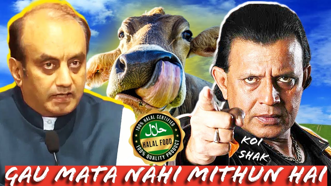 गौमाता नहीं मिथुन है ये क्या बोल गए सुधांशू त्रिवेदी । Politics of unity ।