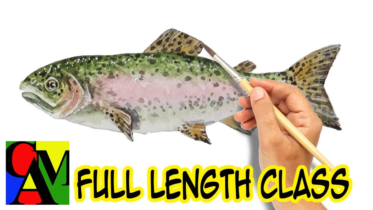 Beginner Watercolor class: How to paint a Rainbow Trout