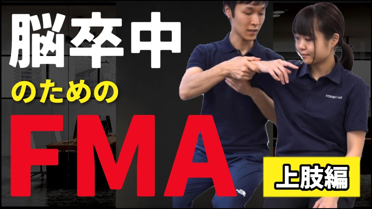 【有料級】ヒューゲルメイヤー評価/上肢編/FMA/fugl meyer assessment/脳卒中