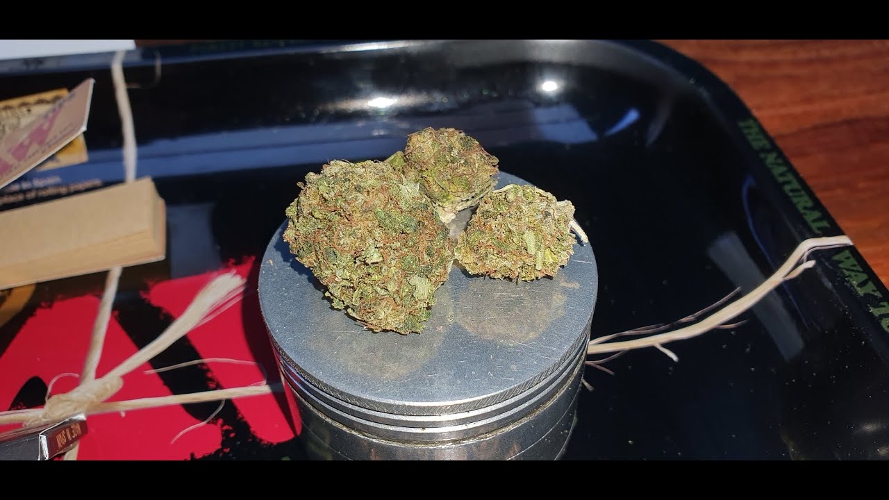 Graded Green - Sunset Sherbet CBD Flower Showcase