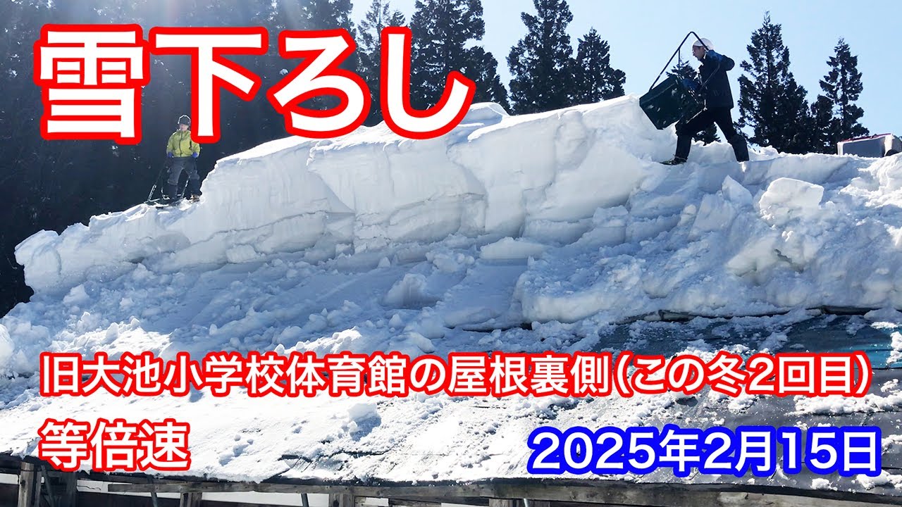 《等倍速》寒波の合間、天気の良い日に雪下ろし《旧大池小学校体育館の屋根裏側》新潟県十日町市大池（2025年2月15日）この冬2回目の雪下ろし #snowremoval