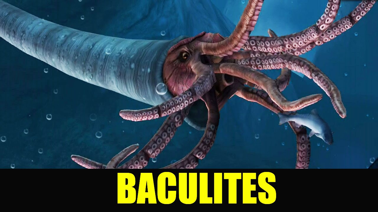 BACULITES MAX LEVEL 40 - Jurassic World The Game