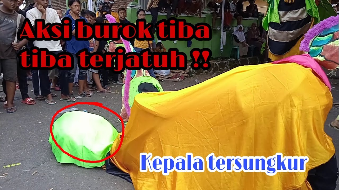 Aksi Burok Tiba Tiba Terjatuh ❗ Goyang heboh
