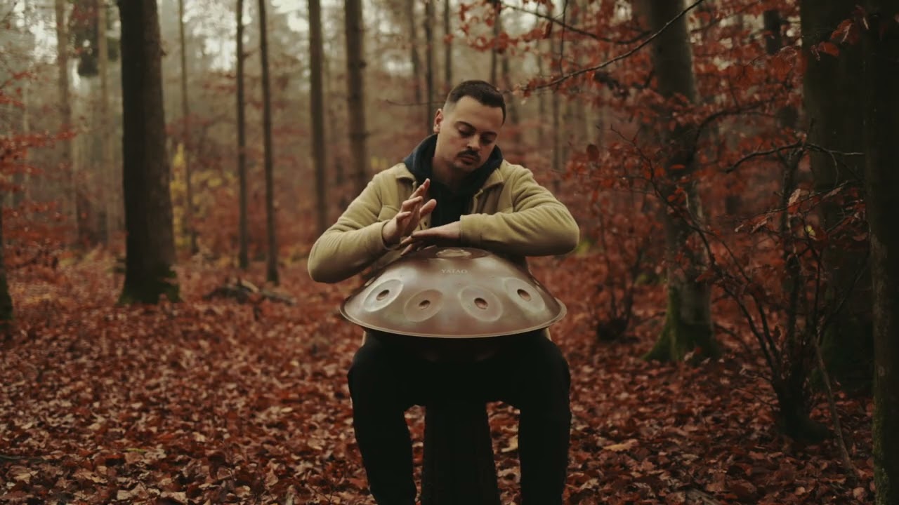 Rainy Forest Pt. 3