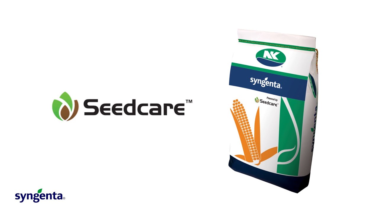 Syngenta Corn Hybrids | Syngenta PH