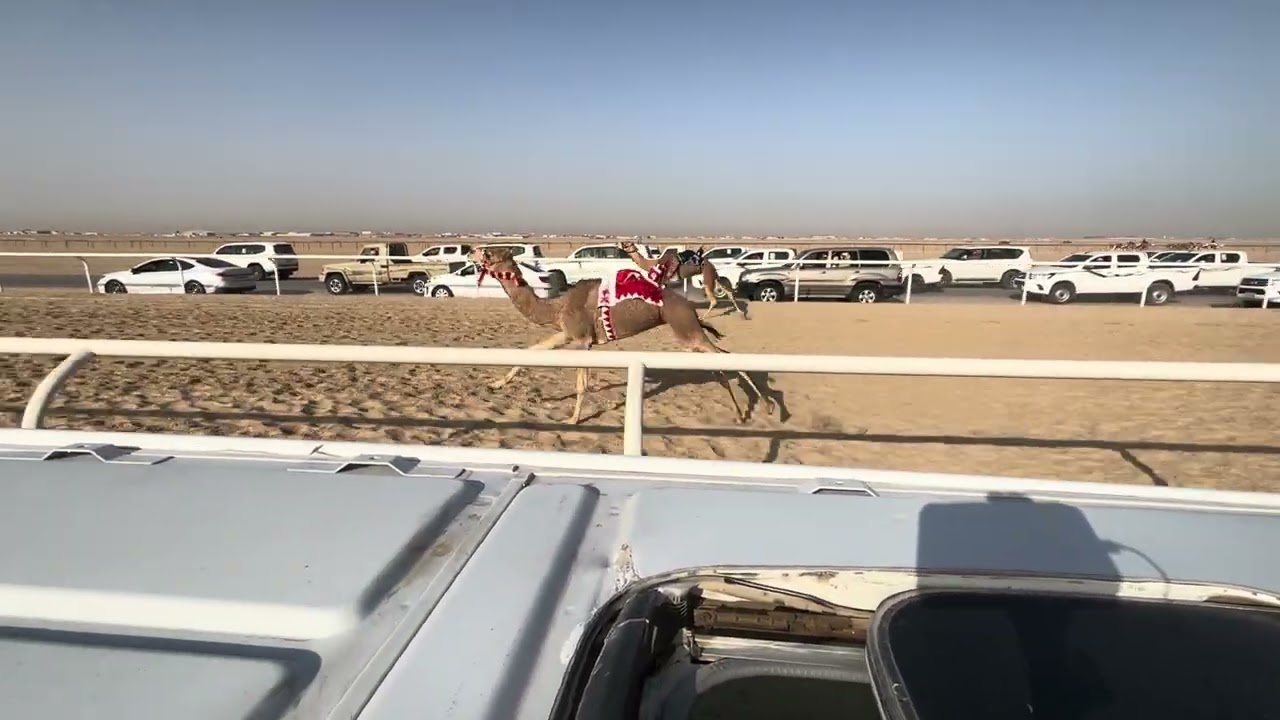 ١ الواريه ملك عبد الله محمد الكربي