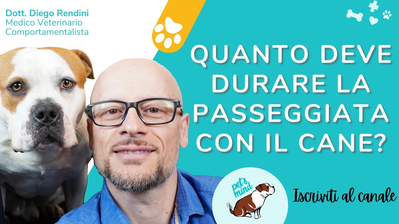 Quanto deve durare la passeggiata con il cane?