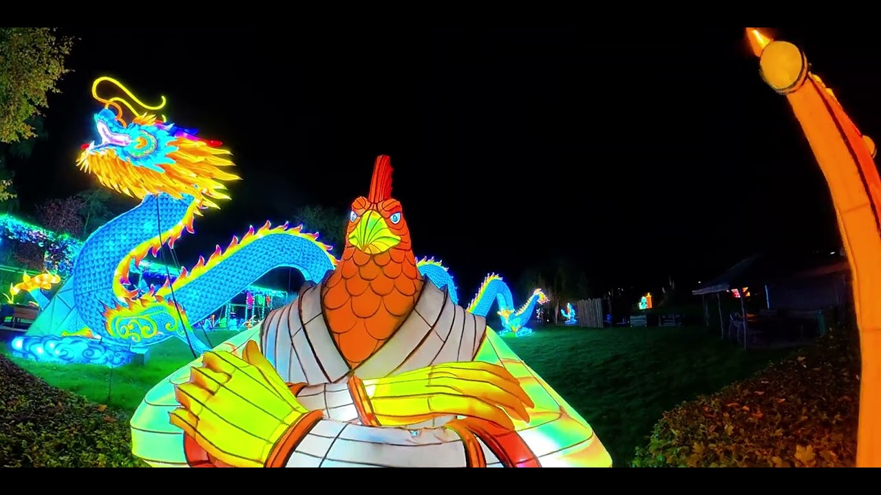 Tierpark Kleve China Lights 2025 #dji #8k #4k #travel #fun #photography #helpmemakethismakesense