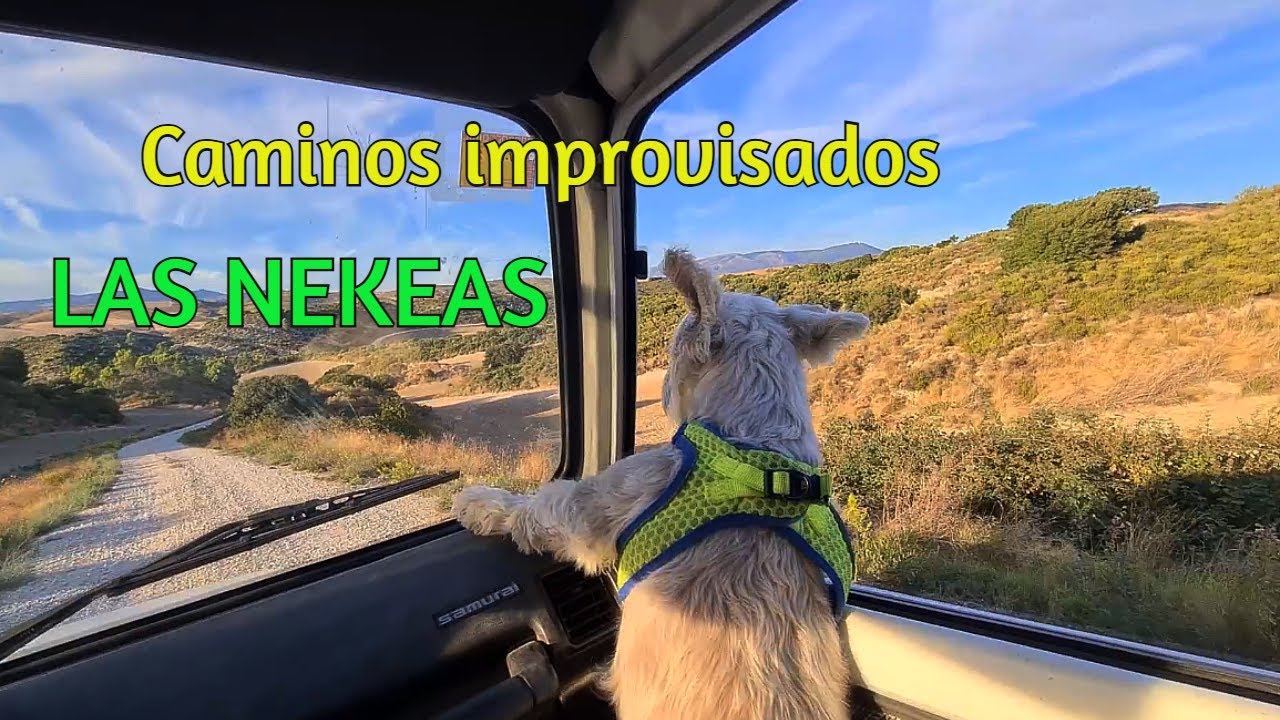 Caminos improvisados por LAS NEKEAS