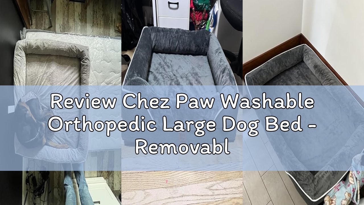 Review Chez Paw Washable Orthopedic Large Dog Bed - Removable Orthopedic Foam Dogs Beds with Bolster