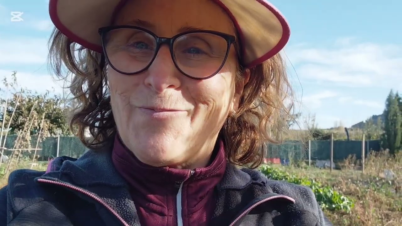 En la huerta recolectando verduras