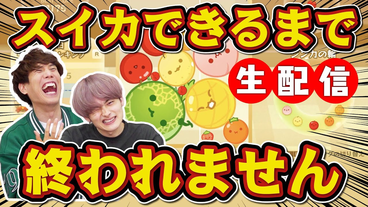 【罰ゲーム】東大卒がスイカできるまで終われない生配信に挑戦！【スイカゲーム】