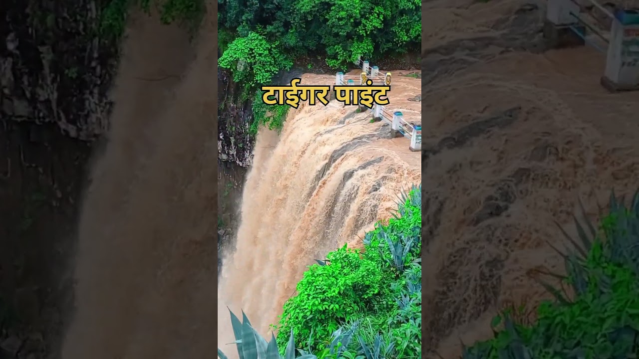 Tiger point mainpat #chhattisgarh waterfall#sorts #mainpat